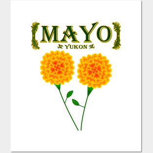 Mayo Posters and Art